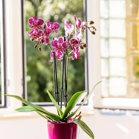 Appartamento Kry Kry